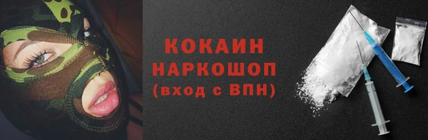 Альфа ПВП Пересвет
