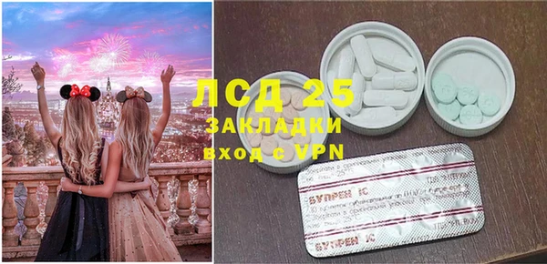 гашик Бородино