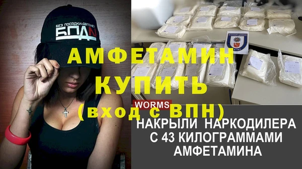 гашик Бородино