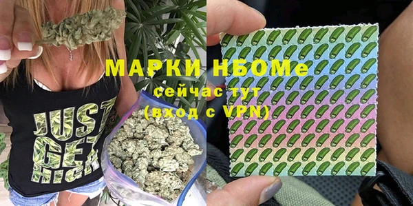 гашик Бородино